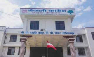 करका दर परिवर्तन गरेर भएपनि पेट्रोलियम पदार्थको मूल्य घटाउन कांग्रेसको माग