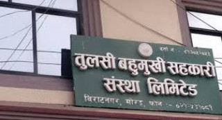 तुलसी सहकारीका ३७७ ऋणीको नाम सार्वजनिक
