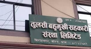 तुलसी सहकारीका ३७७ ऋणीको नाम सार्वजनिक