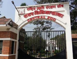 बर्डफ्लुका कारण जावलाखेल चिडियाखानालाई तीन करोड घाटा