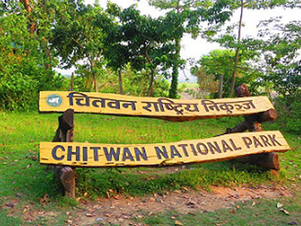 चितवन राष्ट्रिय निकुञ्जमा पर्यटक आगमन बढ्यो, २७ करोडभन्दा बढी राजस्व सङ्कलन