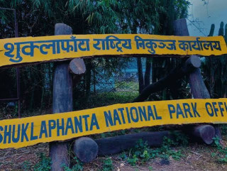 च्याउ खोज्न निकुञ्ज गएका तीन महिला फेला, १४ जना सम्पर्कविहीन