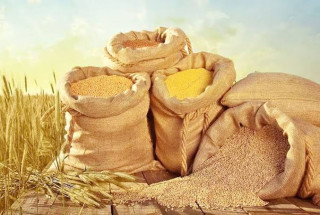 झापामा सात लाख ६१ हजार मेट्रिक टन खाद्यान्न उत्पादन