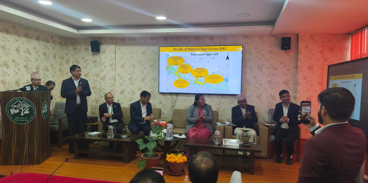 नेपालमा बाघको संख्या ४२९