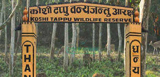 अर्ना र चराचुरुङ्गीले परिचित कोशी टप्पु, पर्यटकका रोजाइमा