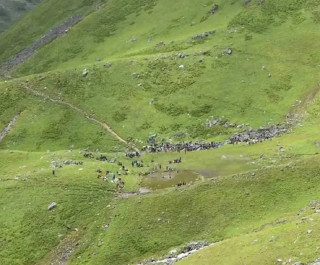 बडीमालिका-रामारोशन वन संरक्षण क्षेत्र घोषणा गर्ने निर्णय खारेज गर्न माग